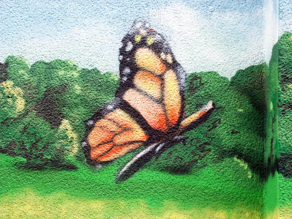 felix almes, 2013,butterfly 1
