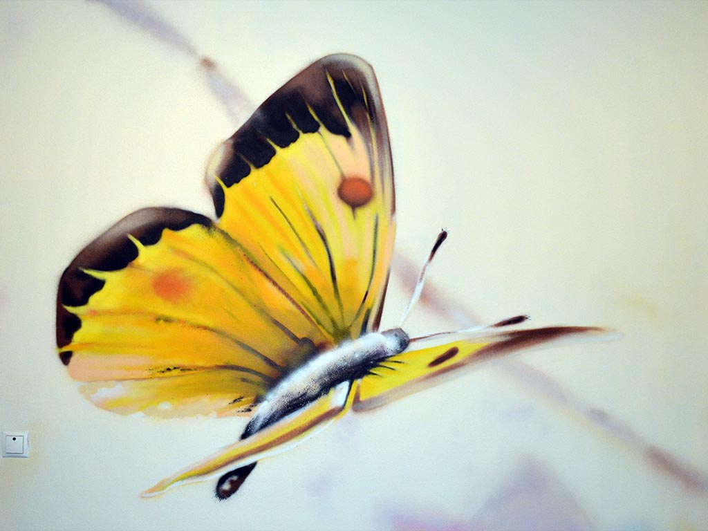 felix almes, 2013,butterfly 2