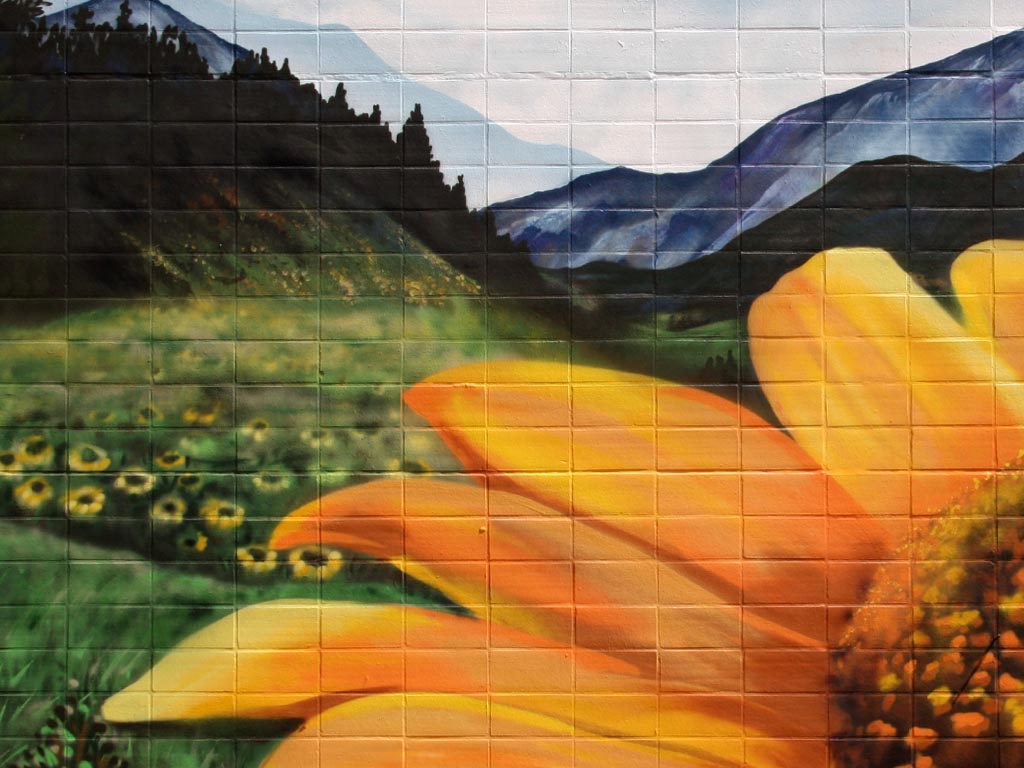 felix almes, 2013,sunflower landscape